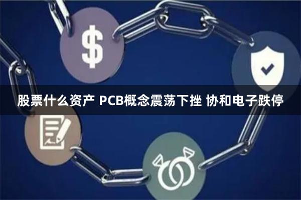 股票什么资产 PCB概念震荡下挫 协和电子跌停