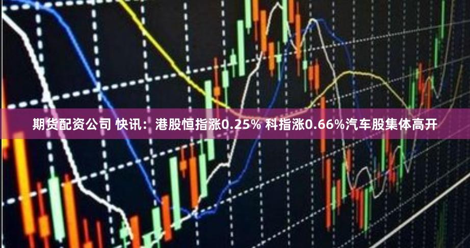 期货配资公司 快讯：港股恒指涨0.25% 科指涨0.66%汽车股集体高开