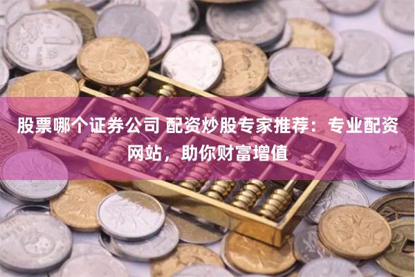 股票哪个证券公司 配资炒股专家推荐：专业配资网站，助你财富增值